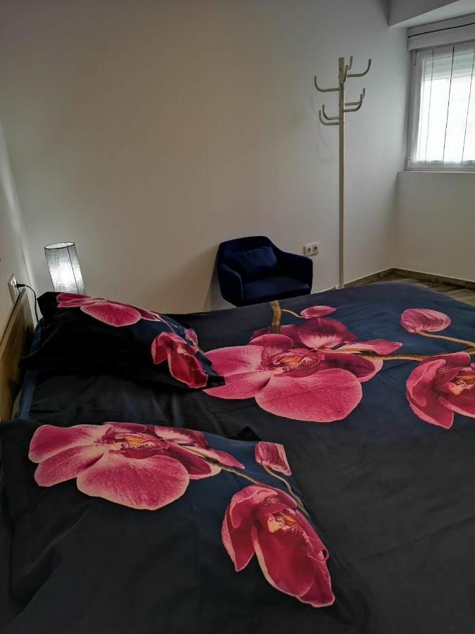 Apartamento Ibanez Benidorm Extérieur photo